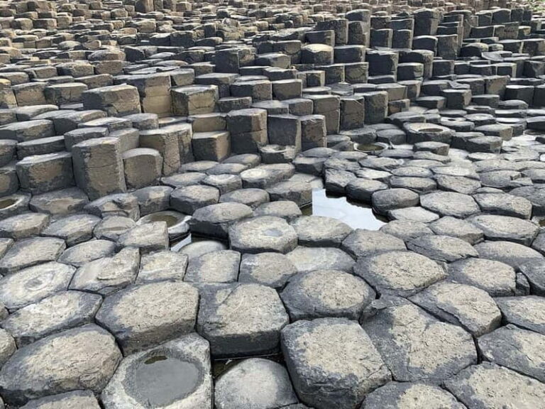 Half day Giants Causeway Tour from Belfast - The Itinerary Breakdown