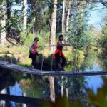 Half-day Hike & Picnic with Dog Love in Porto's Mountains - Who Will Love This Tour?