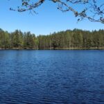 Half Day Hiking Tour in Beautiful Estonian Nature - Key Points