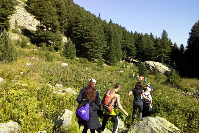 Half-Day Hiking with Private Mountain Guide in the Seven Rila Lakes - What Makes This Tour Stand Out