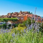 Half Day Hilltop Villages of Luberon Tour from Avignon - Who Is This Tour Best Suited For?
