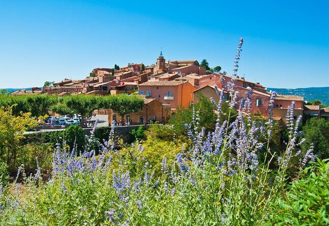 Half Day Hilltop Villages of Luberon Tour from Avignon - Who Is This Tour Best Suited For?