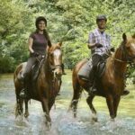Half-Day Horseback Ride in Tuscany - Final Thoughts