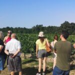 Half-day in the Médoc : 2 wineries & 6 wines - What Makes This Tour Stand Out