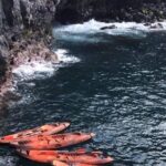 Half day kayak tours - In-Depth Itinerary Breakdown