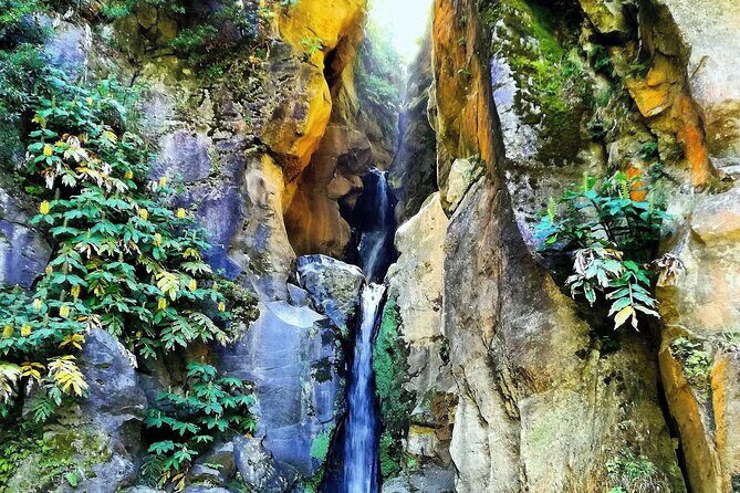 Half day Lagoa do Fogo - Why This Tour Offers Great Value