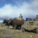 Half-Day Lajes Air Base Historic Sightseeing Tour - Why This Tour Works Well