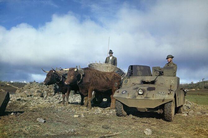 Half-Day Lajes Air Base Historic Sightseeing Tour - Why This Tour Works Well