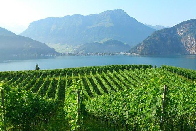 Half-Day Lake Lucerne Country Walk - The Role of the Guide: Knowledge, Local Flavor, and Personal Touch