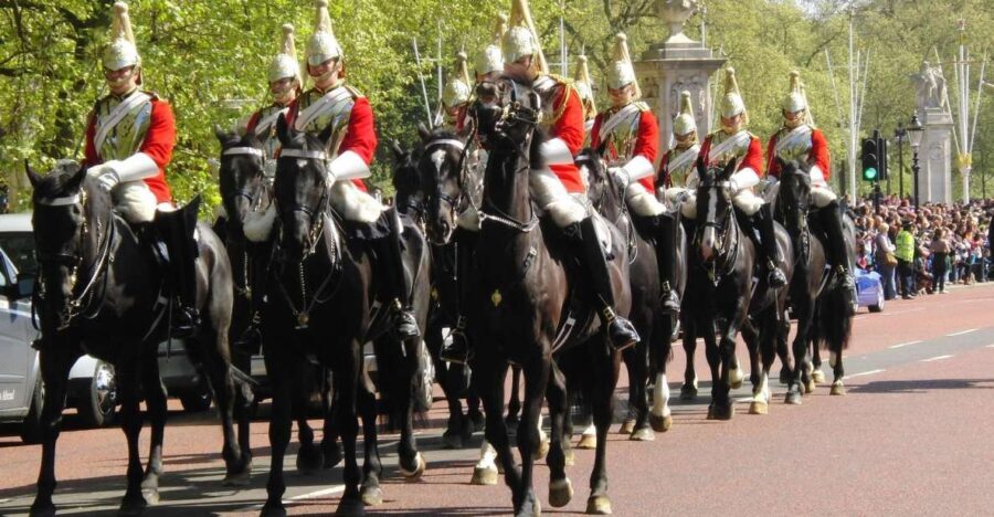Half Day London Panoramic Private Tour - Who Will Love This Tour?