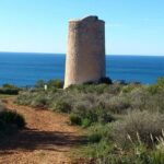 Half-Day Malaga Small-Group Hiking and Snorkeling Tour - What Sets This Tour Apart