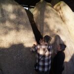 Half Day Megaliths Cromlech Tour from Evora by Archaeologists - Insights from Reviews