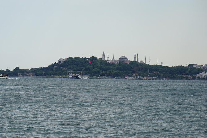 Half Day Morning Bosphorus Cruise & Spice Bazaar visit (Bus and Boat Tour) - Final Thoughts