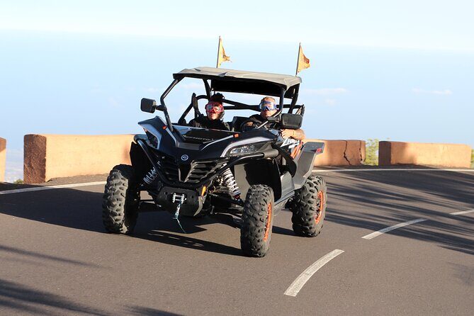 Half Day Morning Buggy Tour in Teide National Park - Who Would Love This Experience?