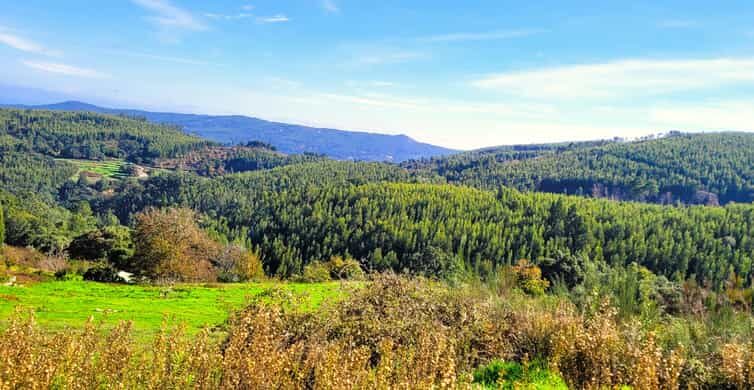 Half-Day Mountain Jeep Safari with firewater tasting - Final Word: Who Will Love This Experience?