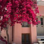 Half Day Naxos Village Private Tour - Why This Tour Offers Great Value