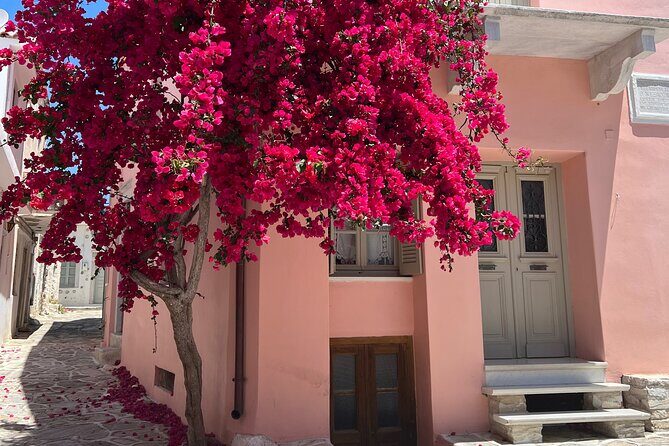 Half Day Naxos Village Private Tour - Why This Tour Offers Great Value