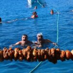 Half-Day Odyssey Guided Boat Safari with Lunch in Cyprus - The Itinerary Breakdown: What to Expect