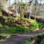 Half-Day Paradise Valley Walking Tour - Who Should Book This Tour?