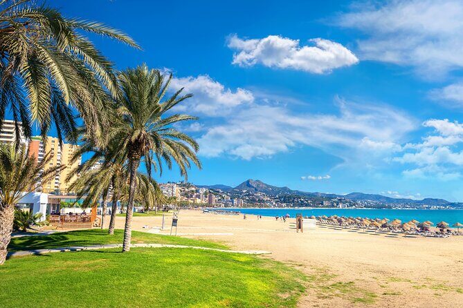 Half-Day Private Taxi Tour to Malaga Historic Center - Authentic Experiences & Hidden Gems from Reviews