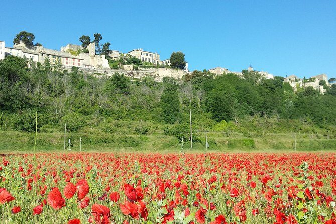 Half day private tour for 2-3 person - Discover Provence on Your Own Terms: A Review of the Private Half-Day Tour from Avignon