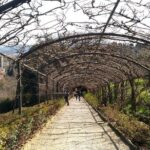 Half Day Private Tour in Florence - Final Thoughts: Who Should Book This Tour?