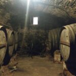 Half Day Private Wine & Oil Tasting Tour near Barcelona with hotel pick up - FAQ