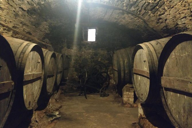 Half Day Private Wine & Oil Tasting Tour near Barcelona with hotel pick up - FAQ