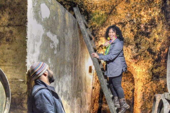 Half Day Rioja Wine Tour - Final Thoughts: Is This Tour for You?