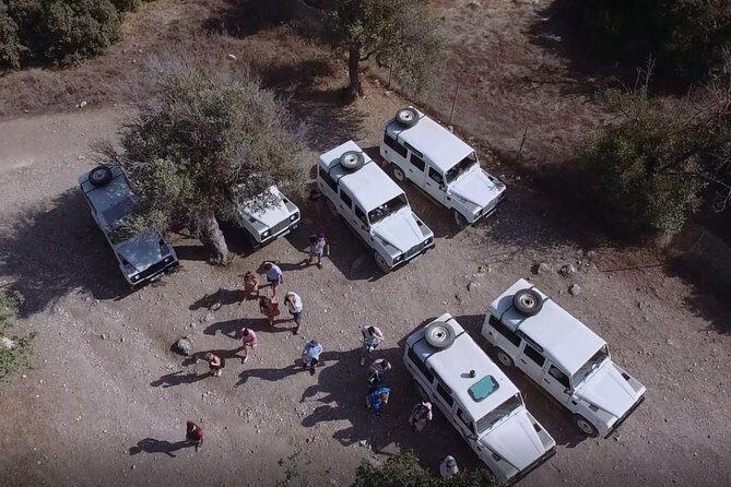 Half day Safari Tour to Akamas Peninsula from Paphos - What Reviewers Loved