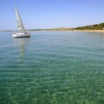 Half-Day Sailing Excursion - Who Should Consider This Tour?