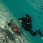 Half-Day Scuba Diving Tour - Discover Scuba Diving! - Practical Details: What You Need to Know