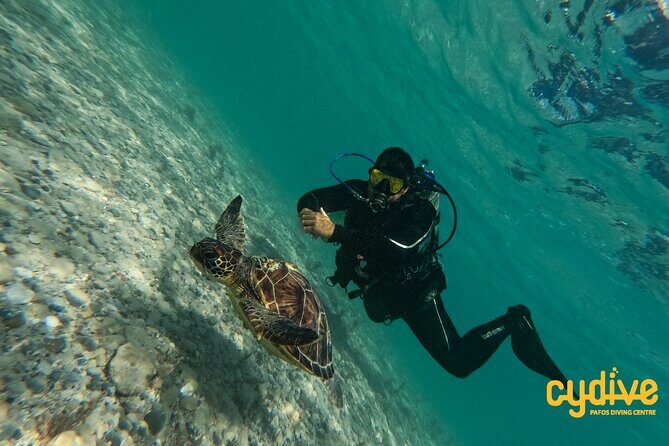 Half-Day Scuba Diving Tour - Discover Scuba Diving! - Practical Details: What You Need to Know
