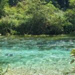 Half-Day Sightseeing Tour to Gjirokastra and Blue Eye - Authentic Experiences and Hidden Gems