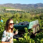 Half-Day Small-Group Wine Experience with Wine Expert from Cagliari - Who Should Consider This Tour?