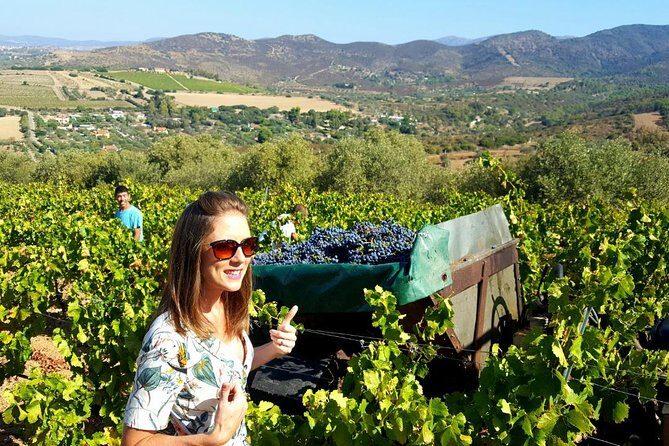 Half-Day Small-Group Wine Experience with Wine Expert from Cagliari - Who Should Consider This Tour?