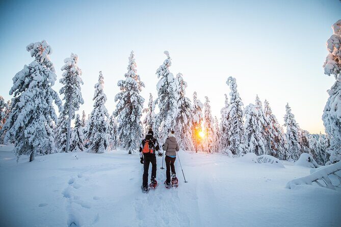 Half Day Snowshoe Hiking Adventure in Levi Lapland - An In-Depth Review of the Snowshoe Adventure in Levi Lapland