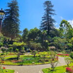 Half-day tour: Angra do Heroísmo City Tour - Practical Details and What to Expect