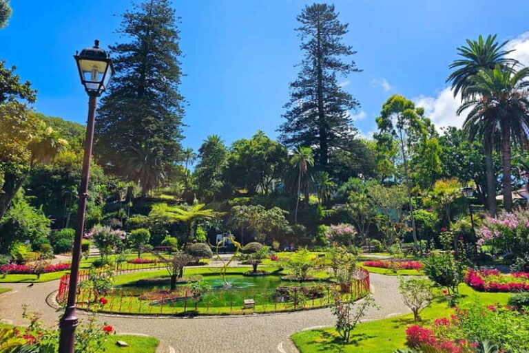 Half-day tour: Angra do Heroísmo City Tour - Practical Details and What to Expect