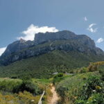 Half-day tour by dinghy in the Tavolara Marine Protected Area - What’s Included and What to Consider