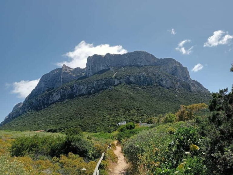 Half-day tour by dinghy in the Tavolara Marine Protected Area - What’s Included and What to Consider