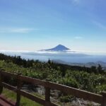 Half Day Tour  Natural Highlights of Faial Island - Authentic Experiences from Reviews