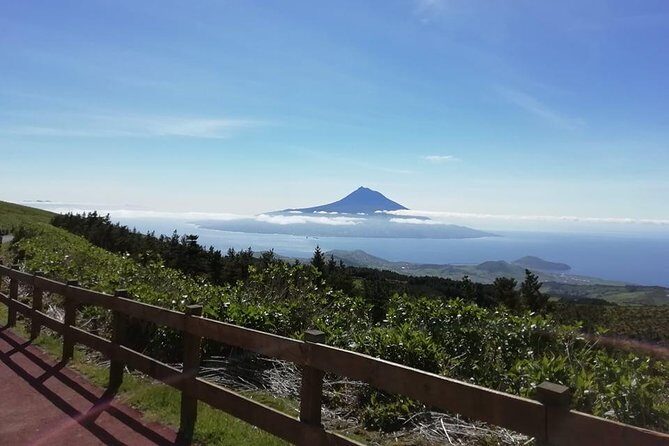 Half Day Tour Natural Highlights of Faial Island - Authentic Experiences from Reviews