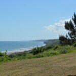 Half-day tour of Omaha Sector with a professional guide - Practical Details and What to Expect