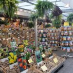 Half-Day Tour of Red Light District and Jordaan District with Private Guide in Amsterdam - Practical Tips for Making the Most of Your Tour