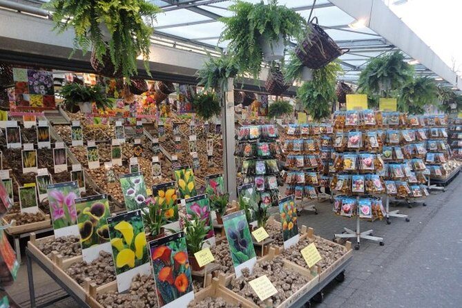 Half-Day Tour of Red Light District and Jordaan District with Private Guide in Amsterdam - Practical Tips for Making the Most of Your Tour