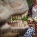 Half Day Tour to Dinosaur Land in Mallorca - Practical Considerations