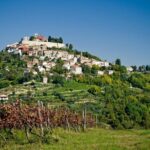 Half day trip to Motovun with Local Brandies Tasting - Breakdown of the Itinerary