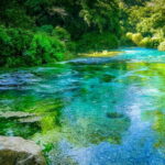 Half day trip to the Blue Eye - The Experience from a Traveler’s Perspective