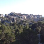 Half-Day Van Gogh Tour of Provence from Avignon - Practical Details and What They Mean for You